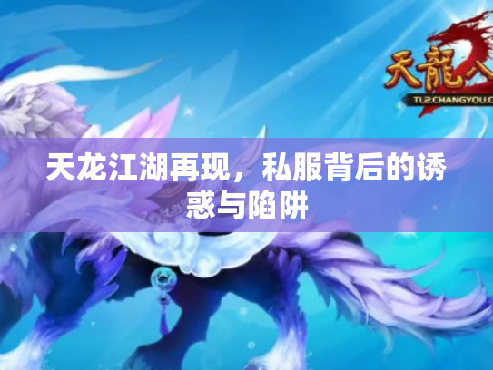 天龙江湖再现，私服背后的诱惑与陷阱