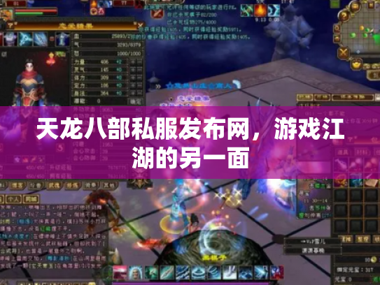 天龙八部私服发布网，游戏江湖的另一面