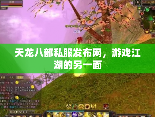 天龙八部私服发布网，游戏江湖的另一面