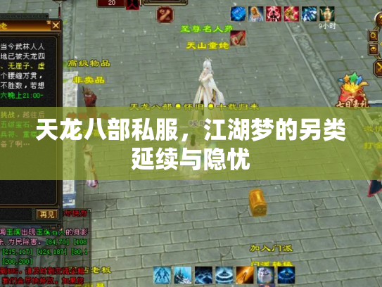 天龙八部私服，江湖梦的另类延续与隐忧