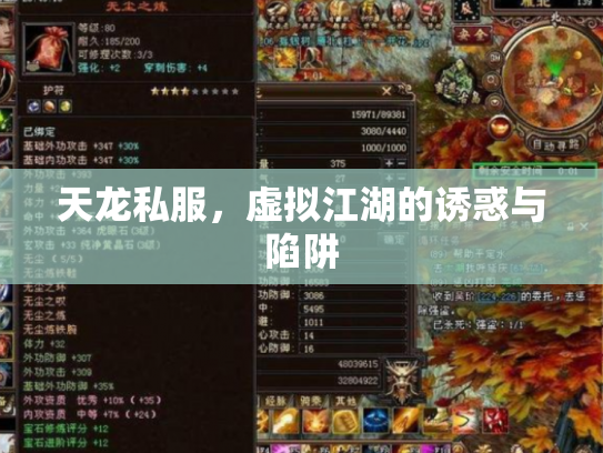 天龙私服，虚拟江湖的诱惑与陷阱