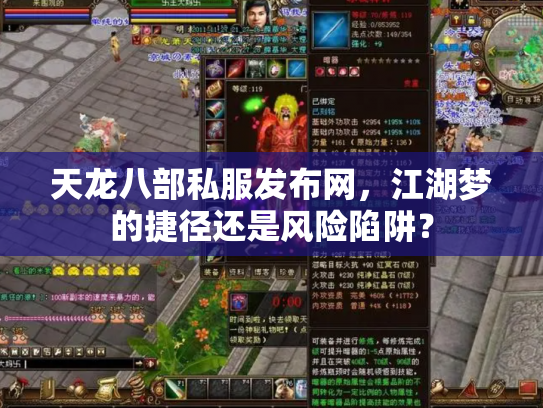 天龙八部私服发布网，江湖梦的捷径还是风险陷阱？