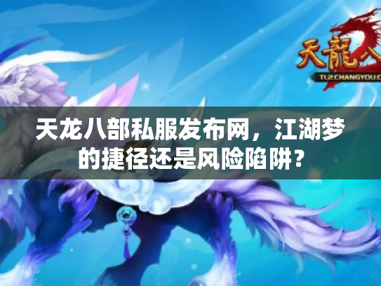 天龙八部私服发布网，江湖梦的捷径还是风险陷阱？