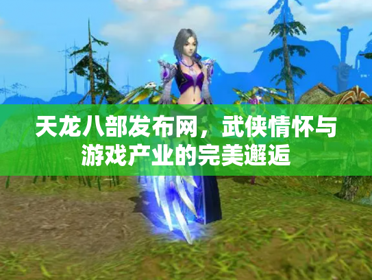 天龙八部发布网，武侠情怀与游戏产业的完美邂逅