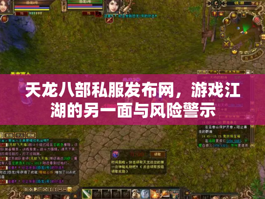 天龙八部私服发布网，游戏江湖的另一面与风险警示