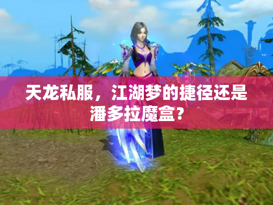 天龙私服，江湖梦的捷径还是潘多拉魔盒？