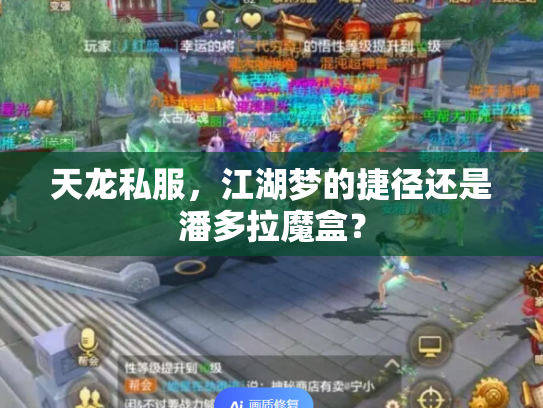 天龙私服，江湖梦的捷径还是潘多拉魔盒？