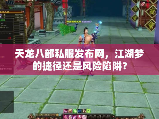 天龙八部私服发布网，江湖梦的捷径还是风险陷阱？