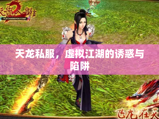 天龙私服，虚拟江湖的诱惑与陷阱