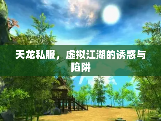 天龙私服，虚拟江湖的诱惑与陷阱