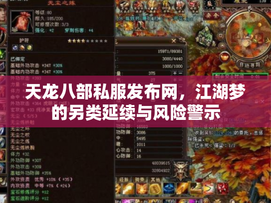 天龙八部私服发布网，江湖梦的另类延续与风险警示