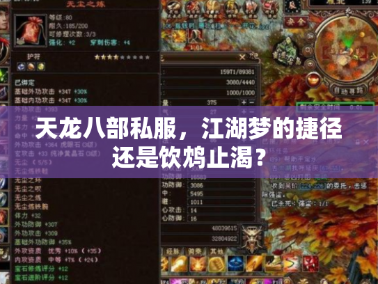 天龙八部私服，江湖梦的捷径还是饮鸩止渴？