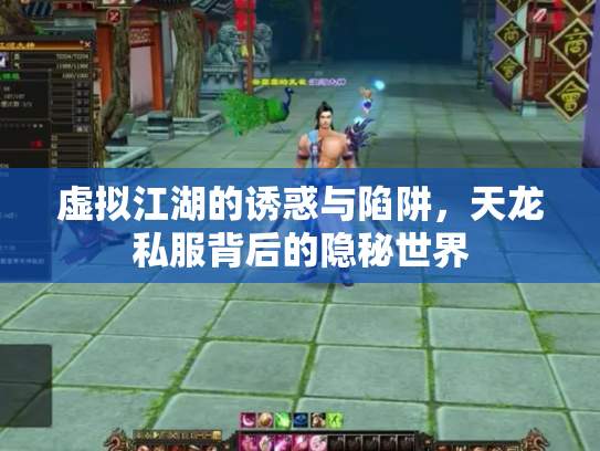 虚拟江湖的诱惑与陷阱，天龙私服背后的隐秘世界