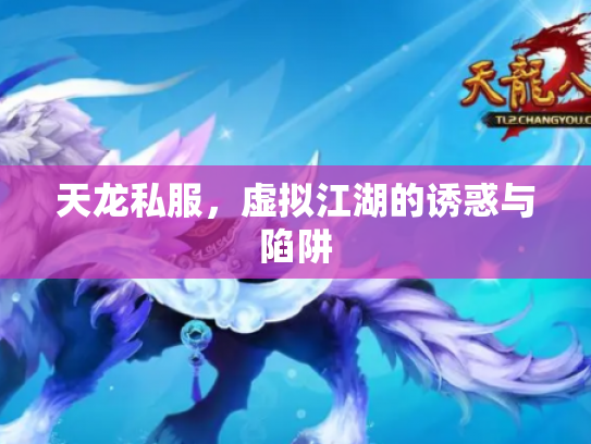 天龙私服，虚拟江湖的诱惑与陷阱