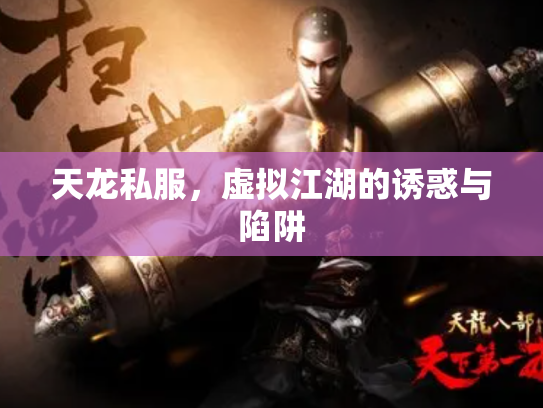 天龙私服，虚拟江湖的诱惑与陷阱