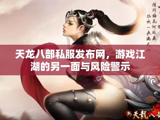 天龙八部私服发布网，游戏江湖的另一面与风险警示
