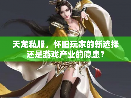 天龙私服，怀旧玩家的新选择还是游戏产业的隐患？