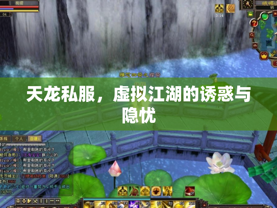 天龙私服，虚拟江湖的诱惑与隐忧