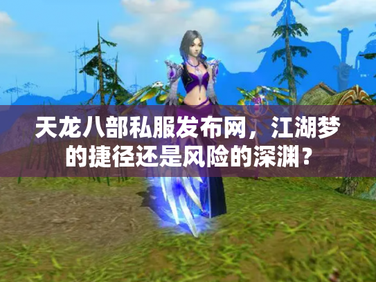 天龙八部私服发布网，江湖梦的捷径还是风险的深渊？