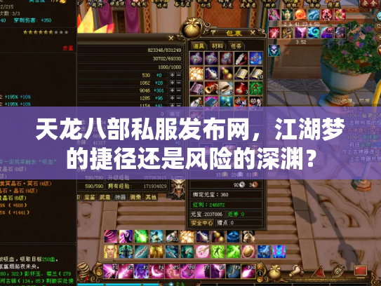 天龙八部私服发布网，江湖梦的捷径还是风险的深渊？