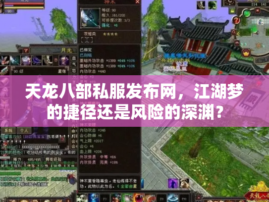 天龙八部私服发布网，江湖梦的捷径还是风险的深渊？