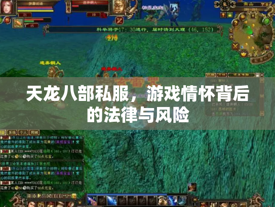 天龙八部私服，游戏情怀背后的法律与风险