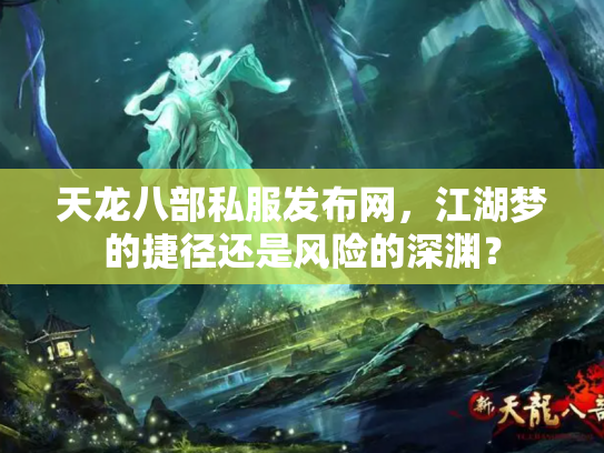 天龙八部私服发布网，江湖梦的捷径还是风险的深渊？