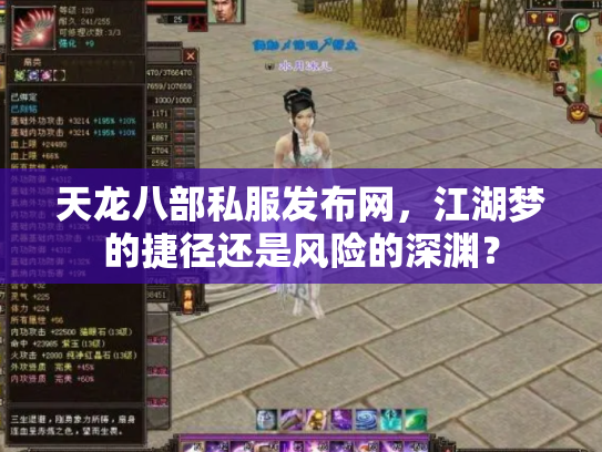 天龙八部私服发布网，江湖梦的捷径还是风险的深渊？