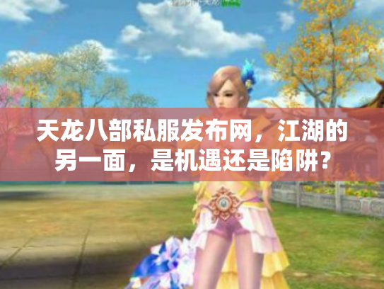 天龙八部私服发布网，江湖的另一面，是机遇还是陷阱？
