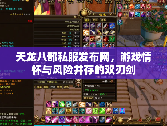 天龙八部私服发布网，游戏情怀与风险并存的双刃剑