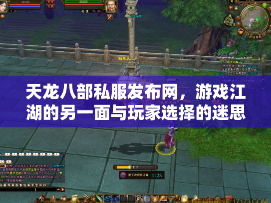 天龙八部私服发布网，游戏江湖的另一面与玩家选择的迷思
