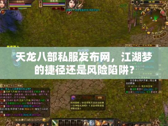 天龙八部私服发布网，江湖梦的捷径还是风险陷阱？