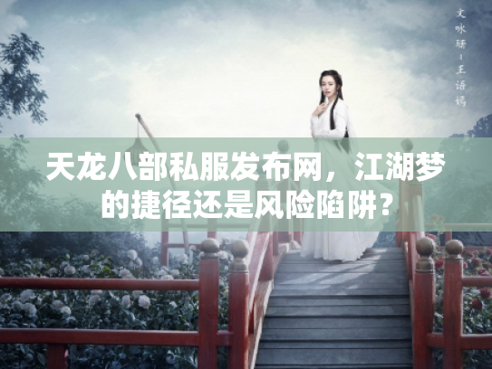 天龙八部私服发布网，江湖梦的捷径还是风险陷阱？