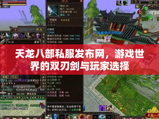 天龙八部私服发布网，游戏世界的双刃剑与玩家选择