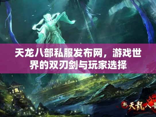 天龙八部私服发布网，游戏世界的双刃剑与玩家选择