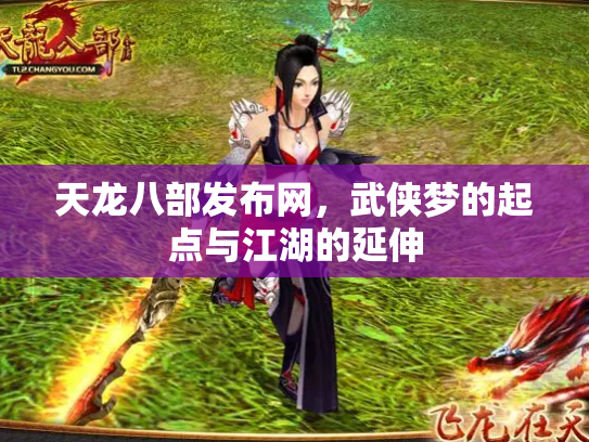 天龙八部发布网，武侠梦的起点与江湖的延伸