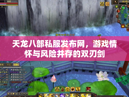 天龙八部私服发布网，游戏情怀与风险并存的双刃剑