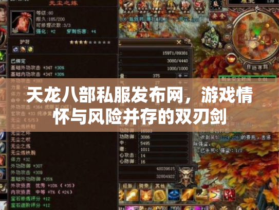 天龙八部私服发布网，游戏情怀与风险并存的双刃剑