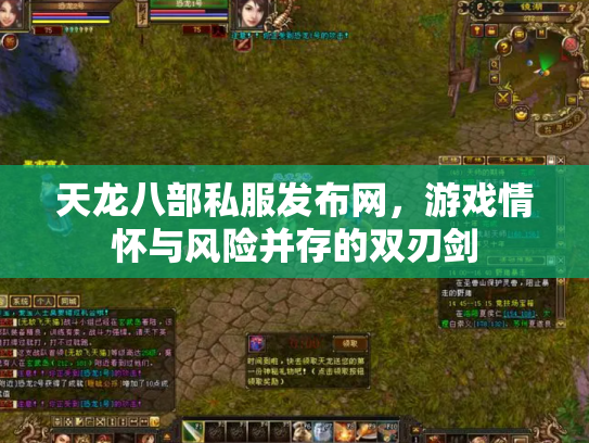 天龙八部私服发布网，游戏情怀与风险并存的双刃剑