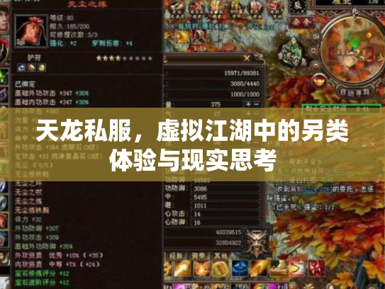 天龙私服，虚拟江湖中的另类体验与现实思考