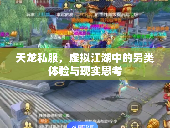 天龙私服，虚拟江湖中的另类体验与现实思考