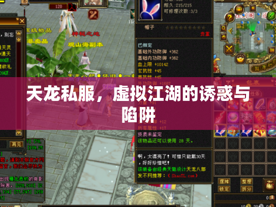 天龙私服，虚拟江湖的诱惑与陷阱
