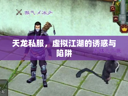天龙私服，虚拟江湖的诱惑与陷阱