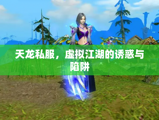 天龙私服，虚拟江湖的诱惑与陷阱