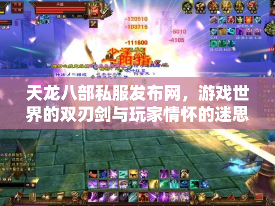 天龙八部私服发布网，游戏世界的双刃剑与玩家情怀的迷思