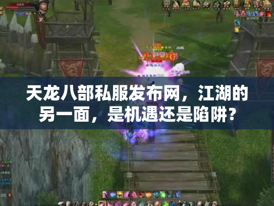 天龙八部私服发布网，江湖的另一面，是机遇还是陷阱？