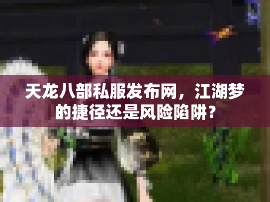 天龙八部私服发布网，江湖梦的捷径还是风险陷阱？