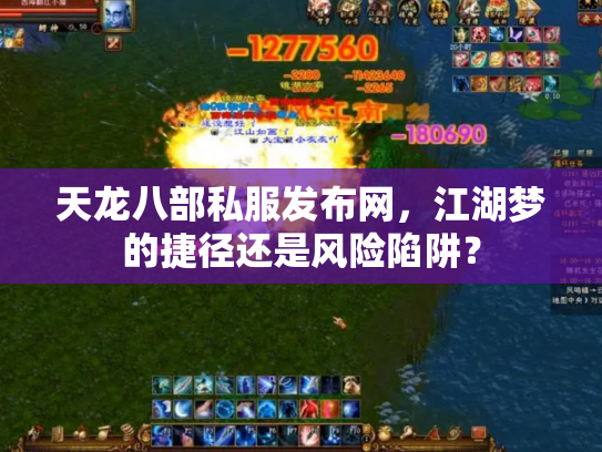 天龙八部私服发布网，江湖梦的捷径还是风险陷阱？