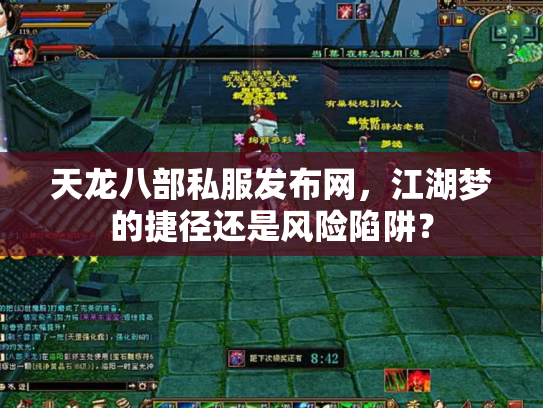 天龙八部私服发布网，江湖梦的捷径还是风险陷阱？