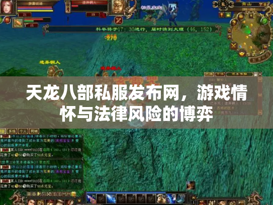 天龙八部私服发布网，游戏情怀与法律风险的博弈